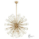 Eurofase - Dendelio 29 Light Chandelier - Lights Canada