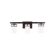Generation Lighting - Robie Vanity Light - Lights Canada