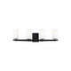 Generation Lighting - Alturas 4-Light Vanity Light - Lights Canada