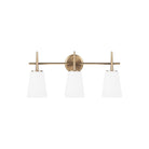Generation Lighting - Driscoll Vanity Light - Lights Canada