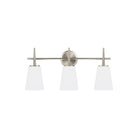 Generation Lighting - Driscoll Vanity Light - Lights Canada