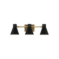 Towner Vanity Light