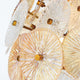 Eurofase - Sue-Anne 12 Light Chandelier - Lights Canada