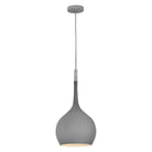 Hinkley - Ziggy Pendant - Lights Canada