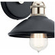 Elan - Clyde Sconce - Lights Canada