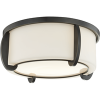 Talon Flush Mount