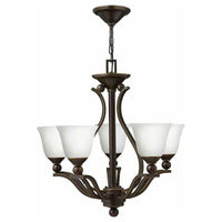 Hinkley Bolla Chandelier