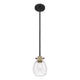 Z-Lite - Kraken Mini Pendant - Lights Canada