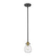 Z-Lite - Kraken Mini Pendant - Lights Canada