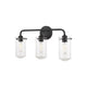 Z-Lite - Delaney Vanity Light - Lights Canada