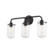 Z-Lite - Delaney Vanity Light - Lights Canada
