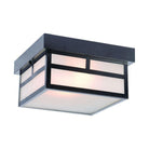 Acclaim - Artisan Outdoor Ceiling Light - Lights Canada