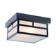 Acclaim - Artisan Outdoor Ceiling Light - Lights Canada