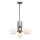 Z-Lite - Parsons Chandelier - Lights Canada