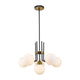 Z-Lite - Parsons Chandelier - Lights Canada