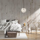Z-Lite - Parsons Pendant - Lights Canada