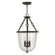 Hinkley - Dakota Pendant - Lights Canada