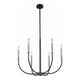 Z-Lite - Haylie Chandelier - Lights Canada