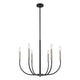 Z-Lite - Haylie Chandelier - Lights Canada