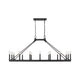 Z-Lite - Barclay Linear Suspension - Lights Canada