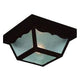 Acclaim - Builder's Choice Outdoor Ceiling Light - Lights Canada