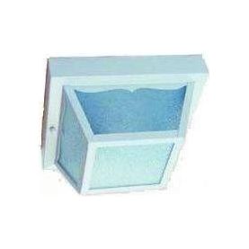 Acclaim - Builder's Choice Outdoor Ceiling Light - Lights Canada
