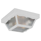 Acclaim - Builder's Choice Outdoor Ceiling Light - Lights Canada