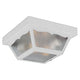 Acclaim - Builder's Choice Outdoor Ceiling Light - Lights Canada