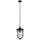 Kichler - Royal Marine Outdoor Pendant - Lights Canada