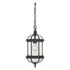 Savoy House - Kensington Outdoor Pendant - Lights Canada
