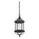 Savoy House - Kensington Outdoor Pendant - Lights Canada