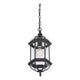 Savoy House - Kensington Outdoor Pendant - Lights Canada