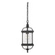Savoy House - Kensington Outdoor Pendant - Lights Canada