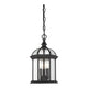 Savoy House - Kensington Outdoor Pendant - Lights Canada