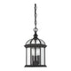 Savoy House - Kensington Outdoor Pendant - Lights Canada