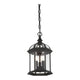 Savoy House - Kensington Outdoor Pendant - Lights Canada