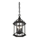 Savoy House - Kensington Outdoor Pendant - Lights Canada