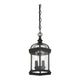 Savoy House - Kensington Outdoor Pendant - Lights Canada
