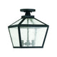 Savoy House - Woodstock Outdoor Ceiling Light - Lights Canada