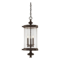 Palmer Outdoor Pendant