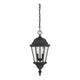 Savoy House - Wakefield Outdoor Pendant - Lights Canada