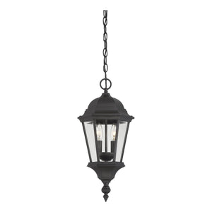 Savoy House - Wakefield Outdoor Pendant - Lights Canada