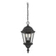 Savoy House - Wakefield Outdoor Pendant - Lights Canada