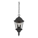 Savoy House - Wakefield Outdoor Pendant - Lights Canada