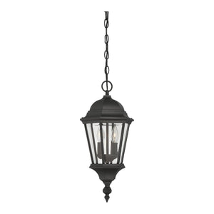 Savoy House - Wakefield Outdoor Pendant - Lights Canada