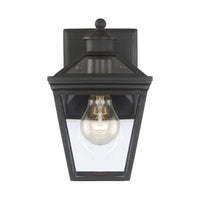 Ellijay Outdoor Wall Light