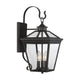Savoy House - Ellijay Outdoor Wall Light - Lights Canada