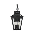 Savoy House - Ellijay Outdoor Wall Light - Lights Canada