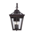 Savoy House - Ellijay Outdoor Wall Light - Lights Canada