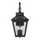 Savoy House - Ellijay Outdoor Wall Light - Lights Canada